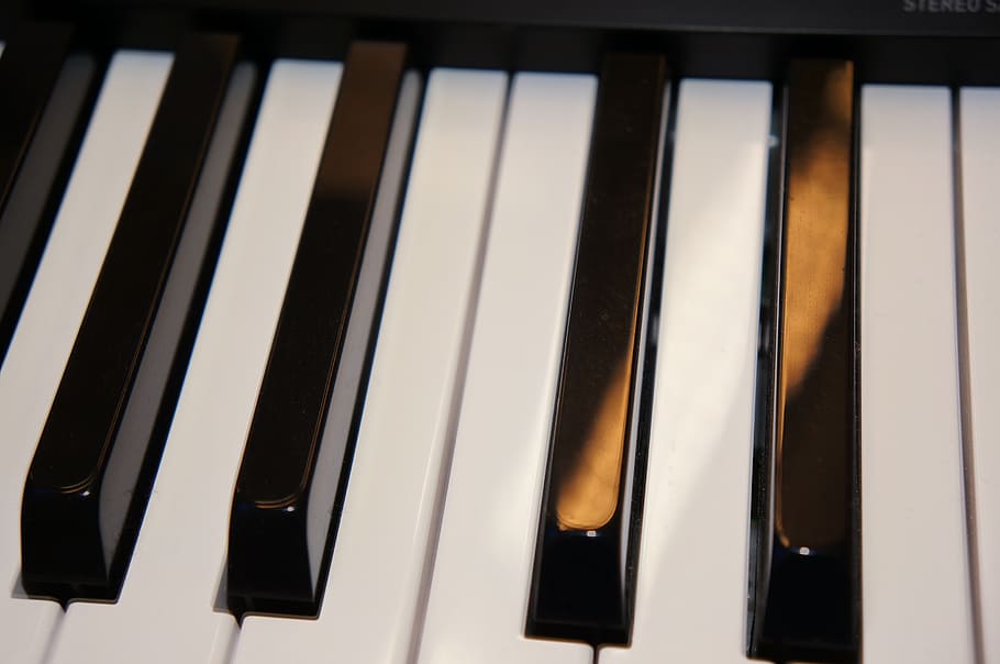 keys, keyboard, piano, music, musical equipment, arts culture and entertainment HD wallpaper