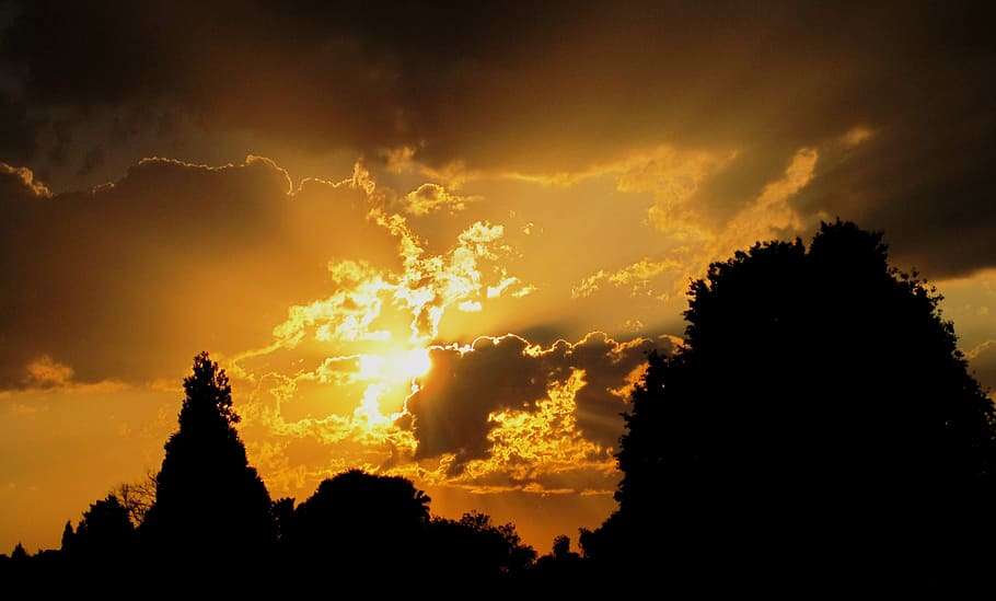 sunset, white, light, gold, luminous, glowing, yellow, glorious HD wallpaper