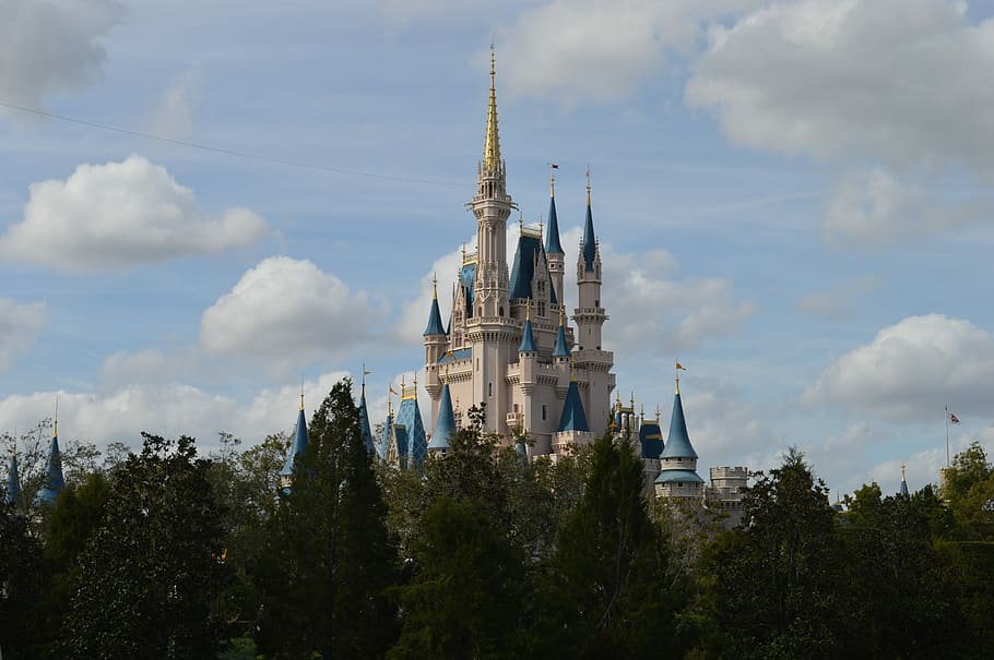 Cinderella Castle surrounded with trees, disney world, magic kingdom
