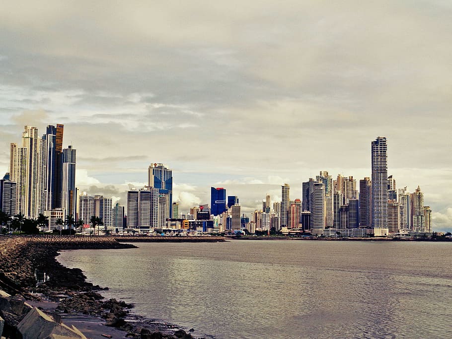 person taking photo of city, Panama City, Modern, Skyscrapers, HD wallpaper