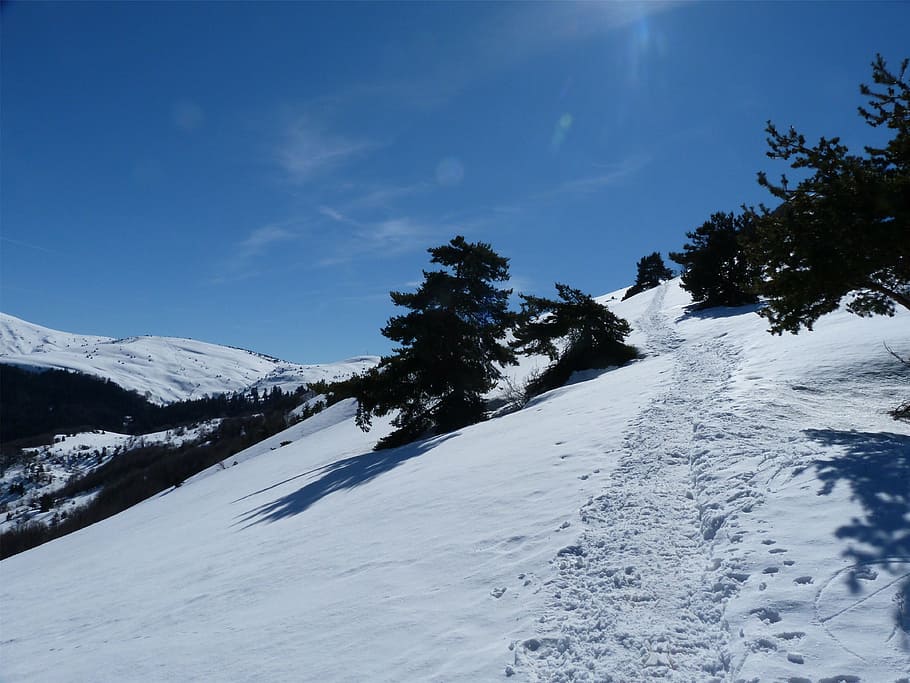 hiking, mountain, winter, snow, white, fir, alps, cold temperature HD wallpaper