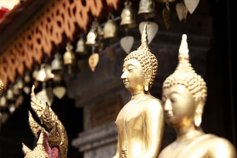 brass Gautama statue in tilt shift photography, Temple, Thailand, HD wallpaper