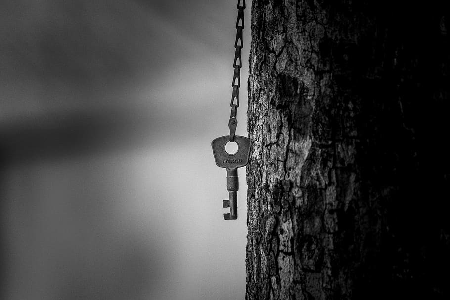 key, tree, metal, bokeh, focus, no people, focus on foreground HD wallpaper