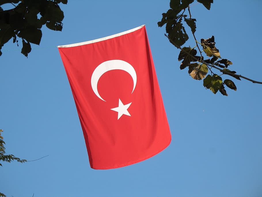 turkey, istanbul, flag, red, flags, patriotic, sky, leaf, patriotism HD wallpaper
