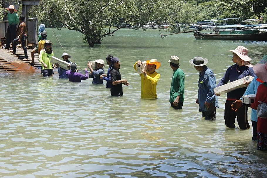 Worker, Thailand, Solidarity, water, river, day, men, adult HD wallpaper