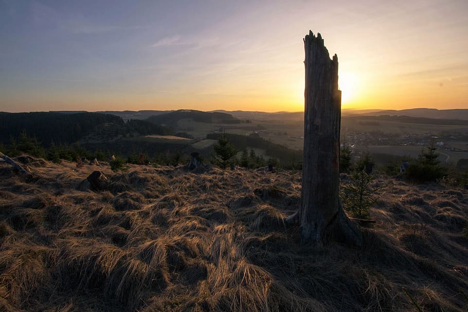 sun, sunset, nature, cyril, setting sun, twilight, sky, abendstimmung HD wallpaper