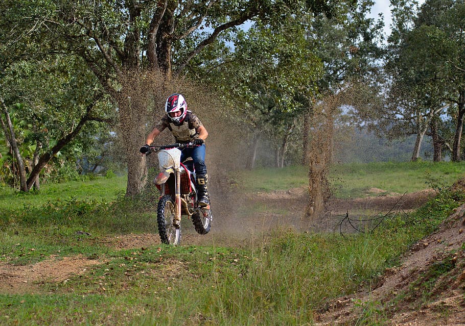 splash, mud, wet, soil, wheel, tree, lifestyle, action, bike HD wallpaper