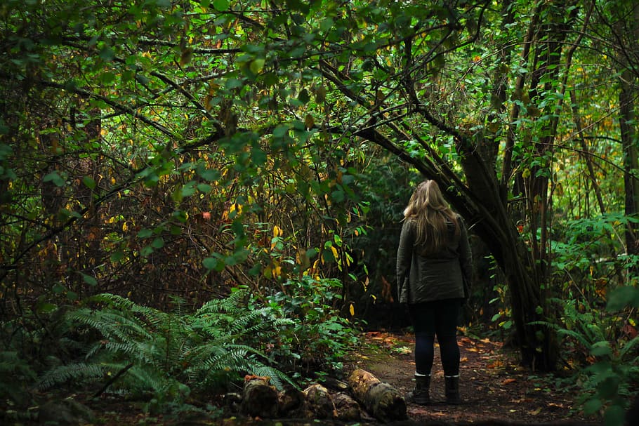 woman walking in the middle of forest, woman standing in the middle of forest HD wallpaper