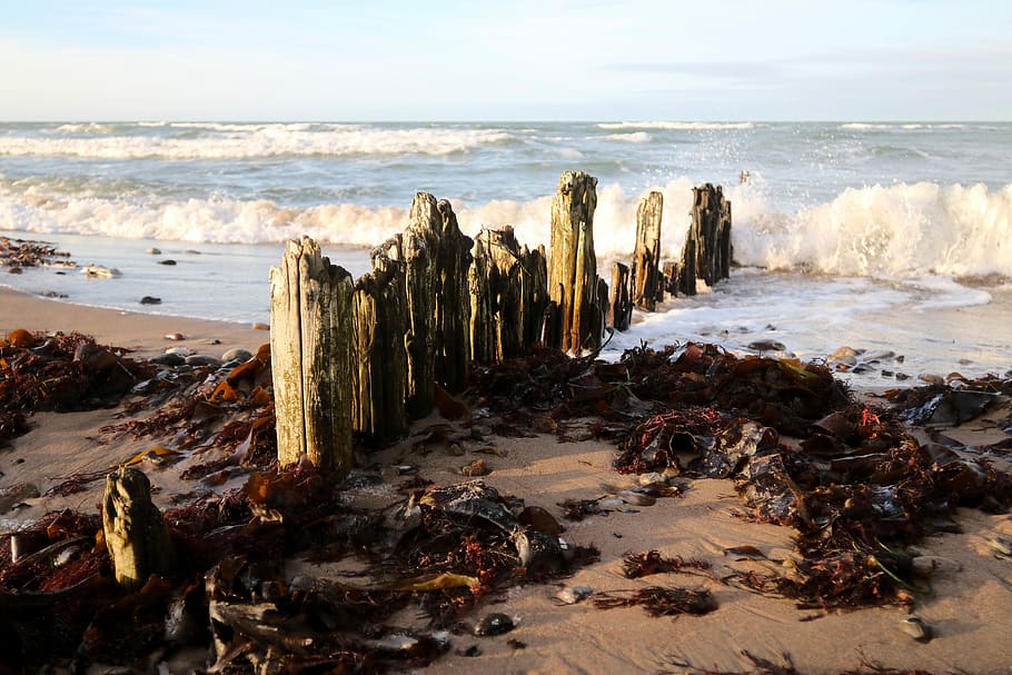 Coast, Beach, Wave, Sea, Ocean, Wood, piles, nature, waves HD wallpaper