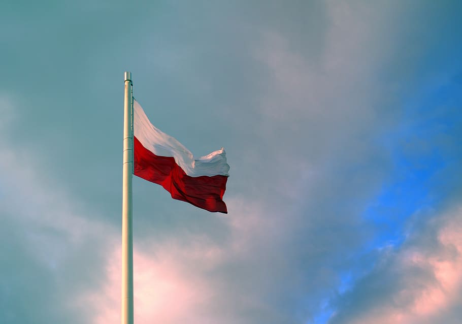 flag, poland, polish flag, patriotism, homeland, flag of poland, HD wallpaper