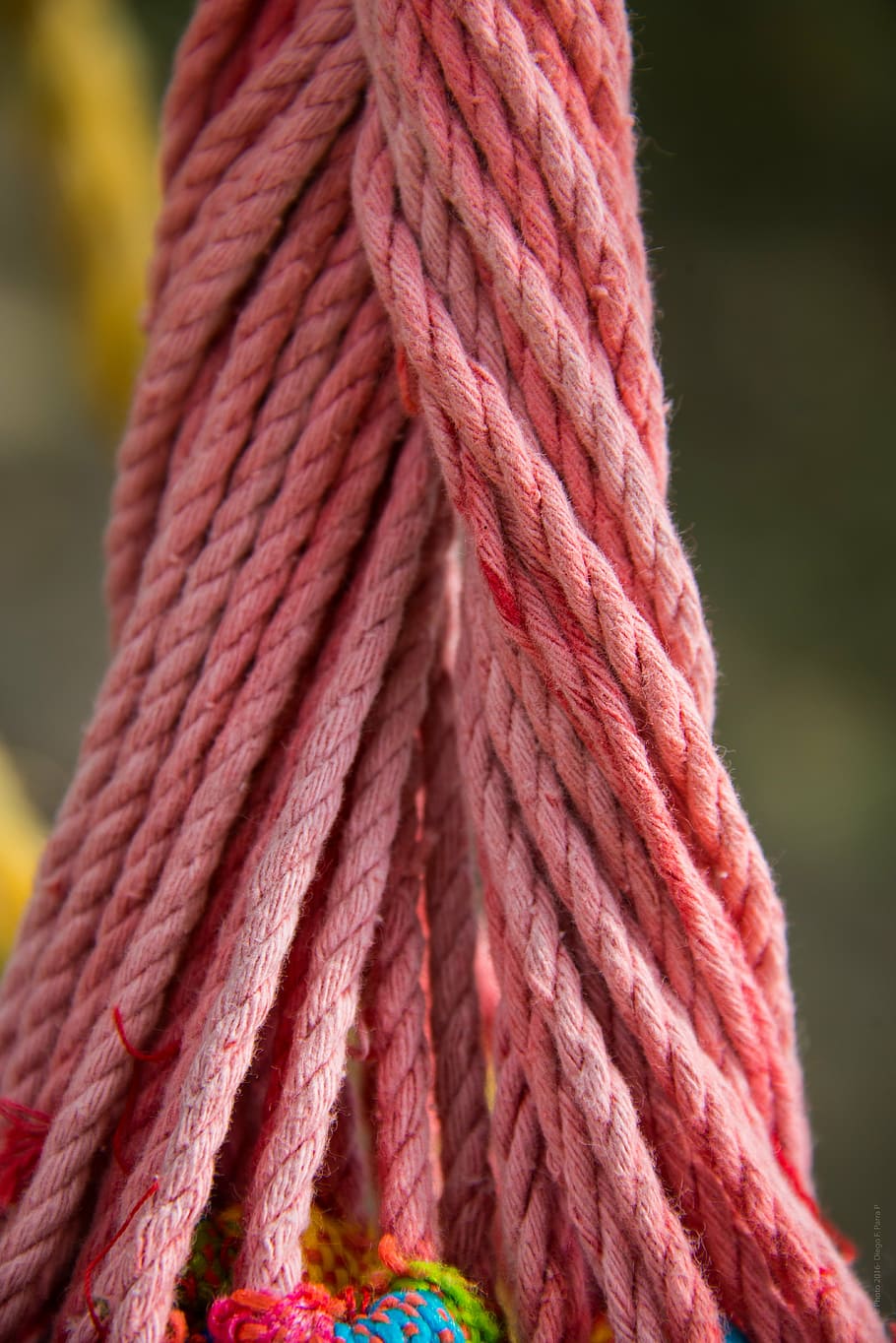 red ropes, hammock, tie, relax, holidays, color, multicolor HD wallpaper