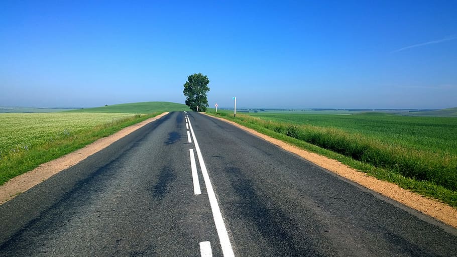 road between green grass covered plains, black and gray concrete road near green grasses HD wallpaper