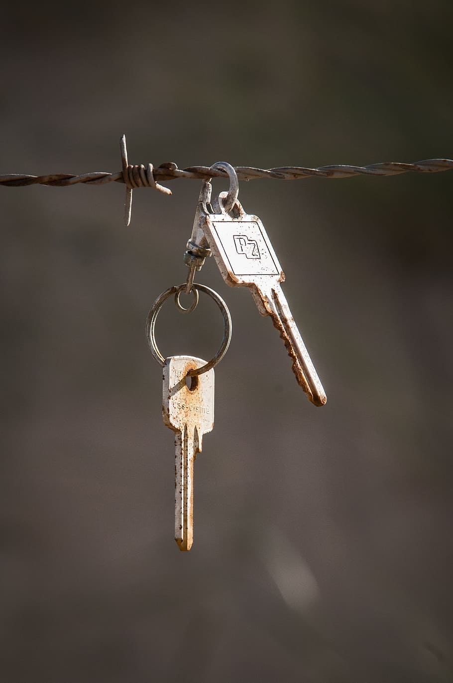 Key, Barbed Wire, Rust, Found Object, keys, hanging, no people HD wallpaper