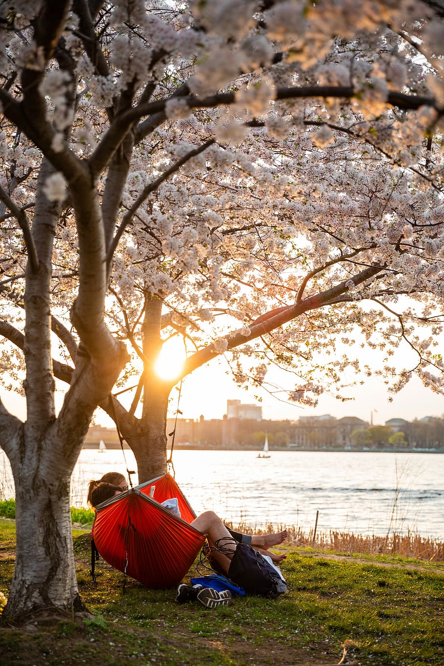 man and woman riding on red hammock, two person in red hammock during day time HD wallpaper