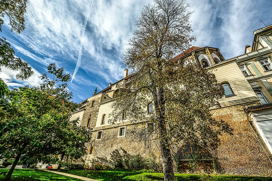 prague, castle, tree, tall, architecture, europe, travel, republic HD wallpaper