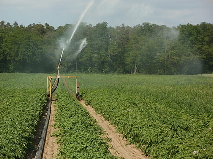 brown irrigation water sprinkler sprinkling water into plants during daytime HD wallpaper