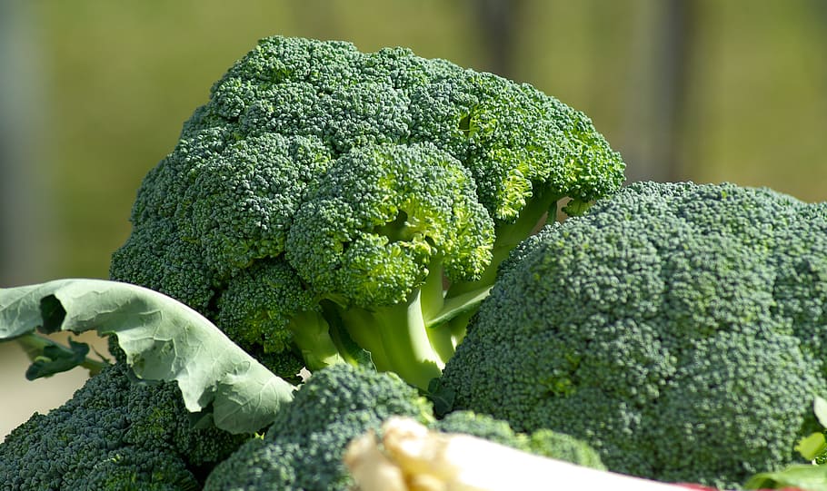 broccoli vegetables, cabbage, market, vitamins, food, freshness HD wallpaper