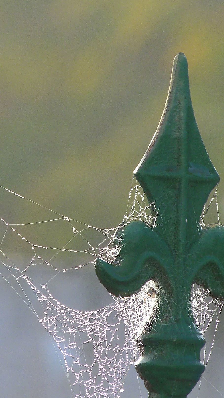 tip, arrow, web, spider web, fragility, nature, close-up, focus on foreground HD wallpaper