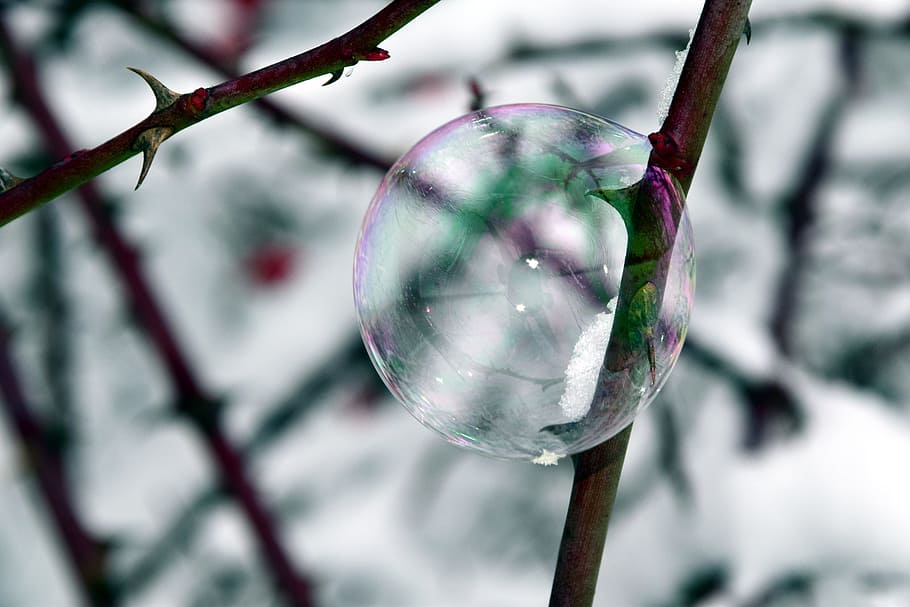 Soap Bubble, Winter, Thorns, bubble and thorns, pointed, sharp HD wallpaper