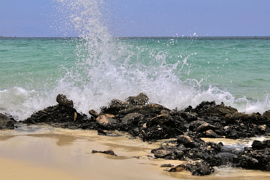 wave, ocean, beach, island, nature, ocean wave, water, sea HD wallpaper