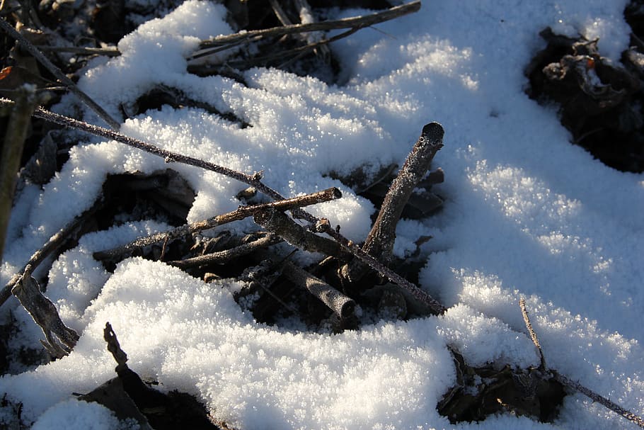 snow, winter, cold, nature, season, white, frost, landscape HD wallpaper