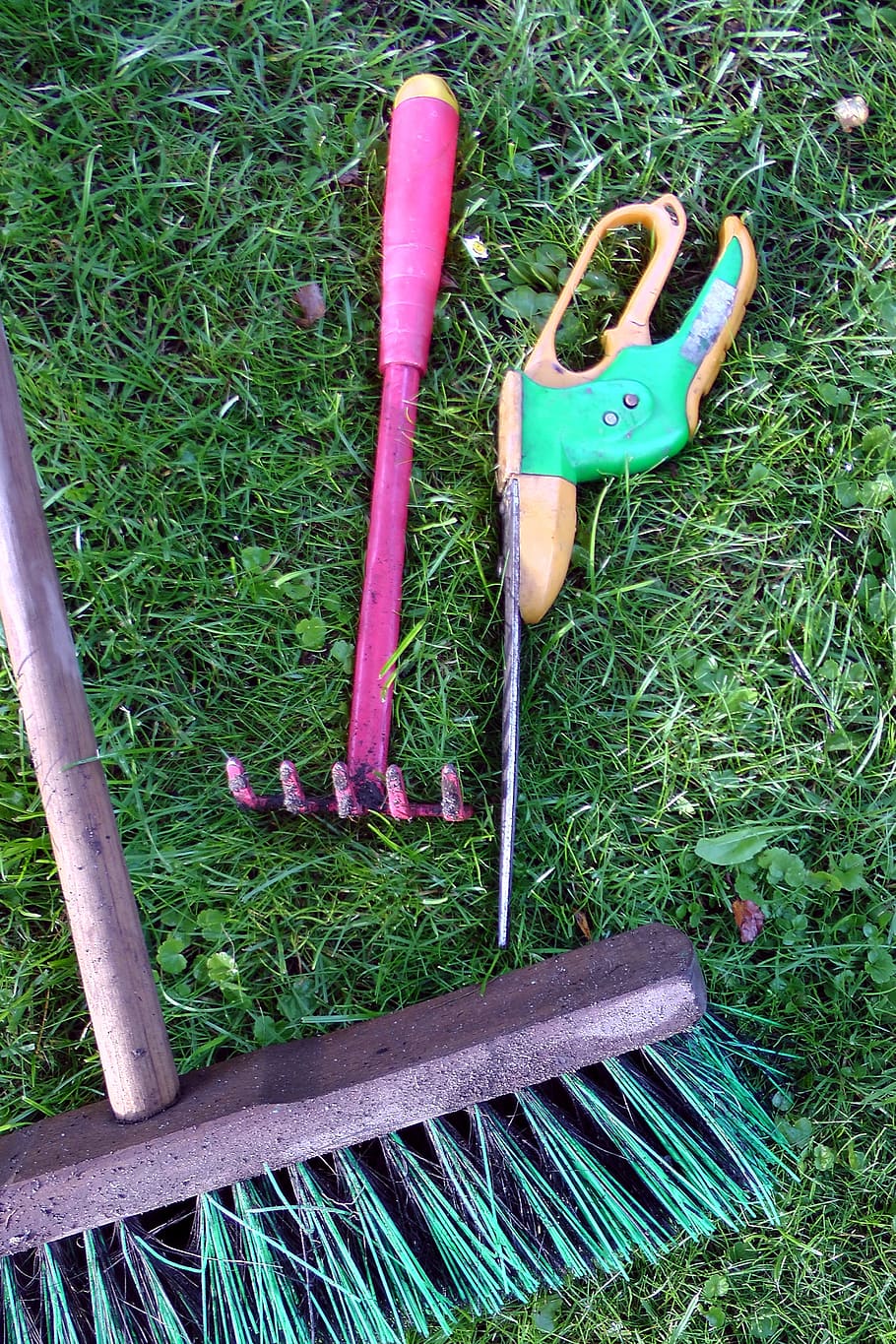 three assorted-type garden tools on grass, Rose, Scissors, Allotment