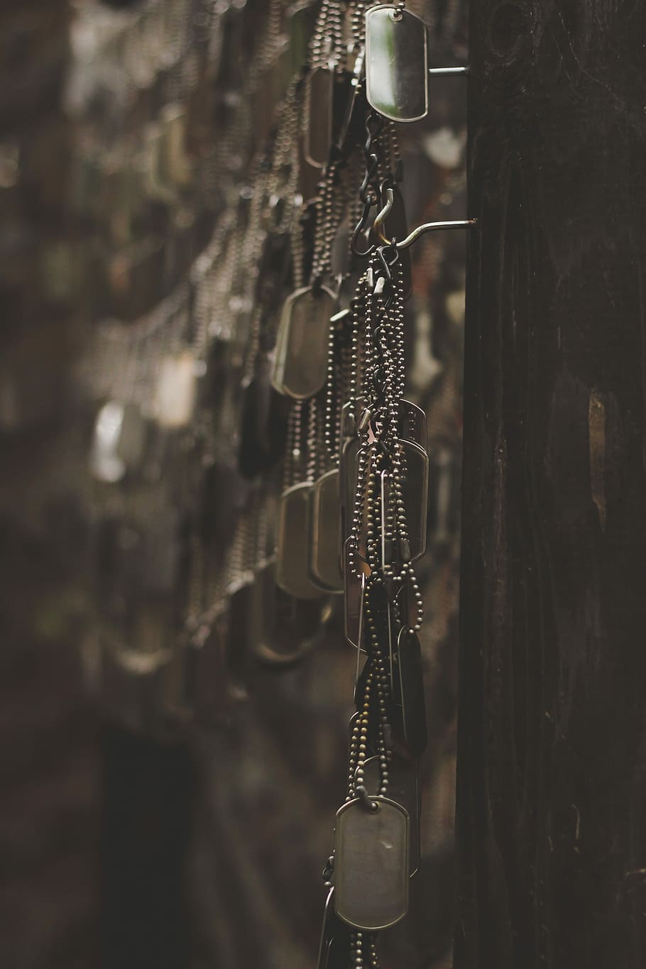silver-colored god tags hanging on hooks shallow focus photography, selective photo of a silver-colored dog tags