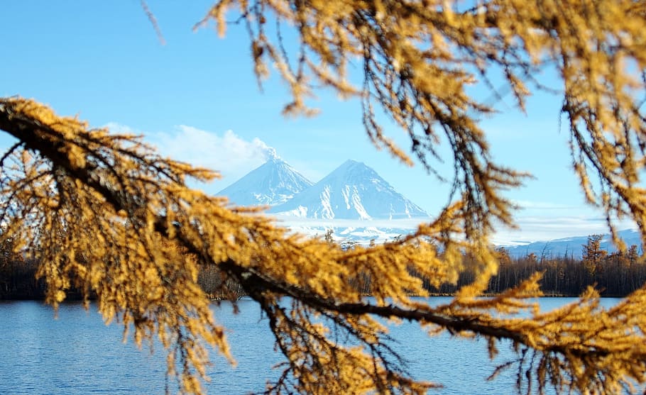 autumn, volcanoes, larch, branch, needles, lake, nature, mountains, HD wallpaper
