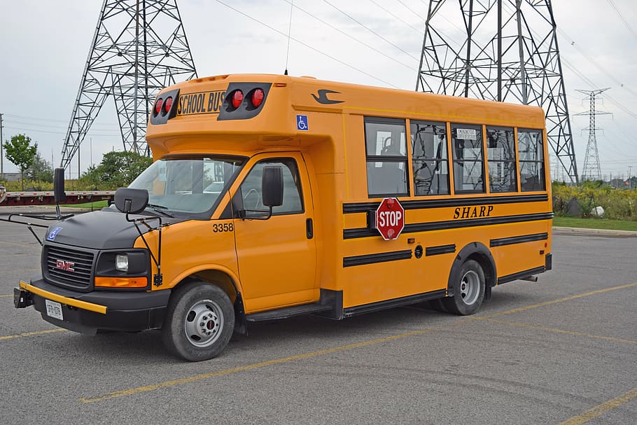 bus, orange, school, transportation, education, vehicle, schoolbus HD wallpaper