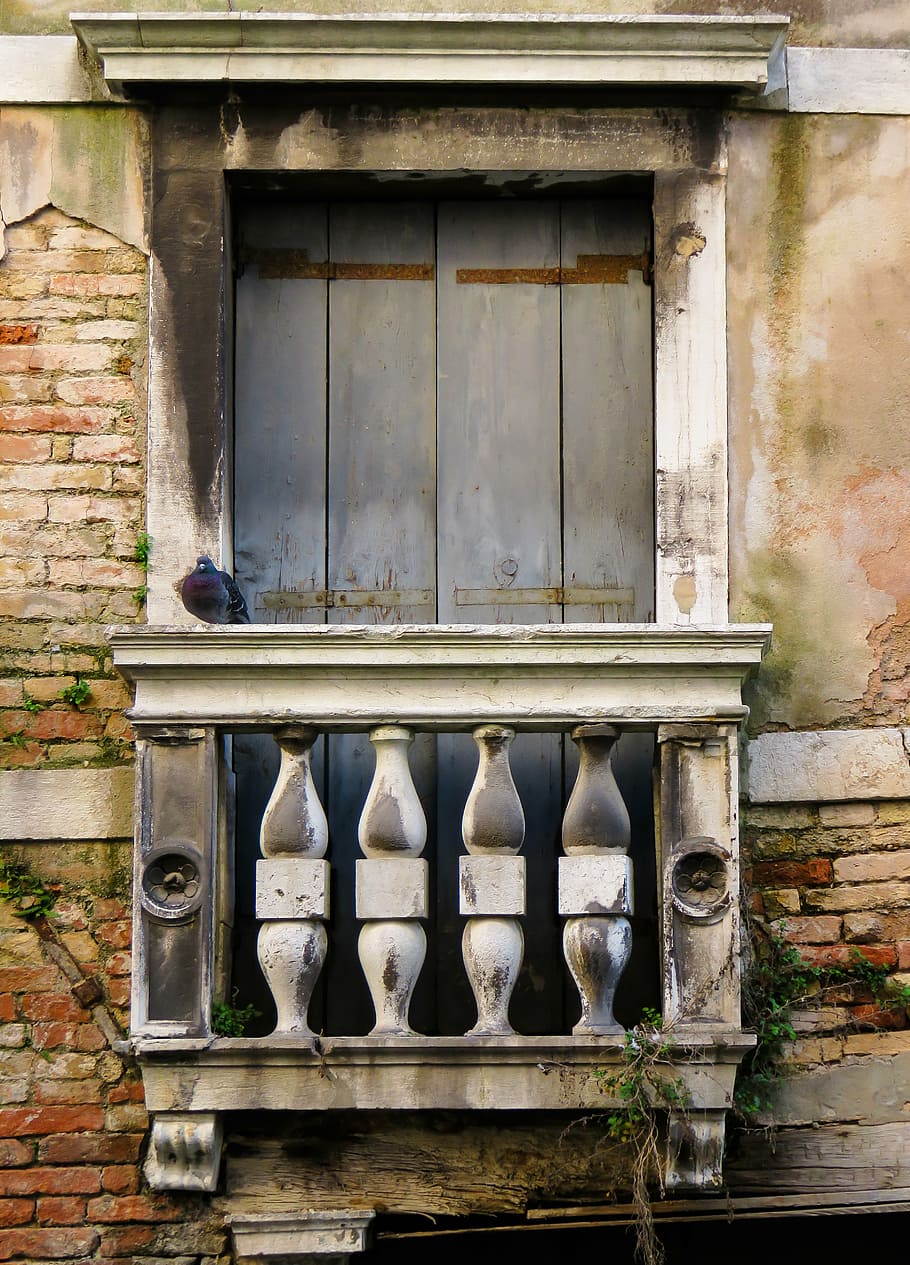 blue pigeon on terrace, architecture, building, balcony, window HD wallpaper