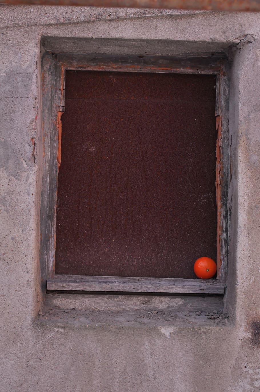 window, building, orange, fruit, no people, architecture, day HD wallpaper
