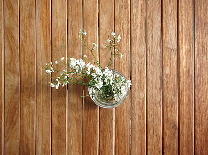 white petaled flower in clear glass vase, table, wood, background HD wallpaper
