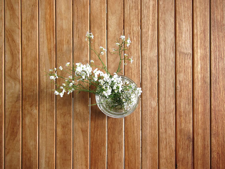 white petaled flower in clear glass vase, table, wood, background HD wallpaper