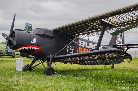 plane, an-2, old, broken, black, figure, teeth, eye, shark HD wallpaper