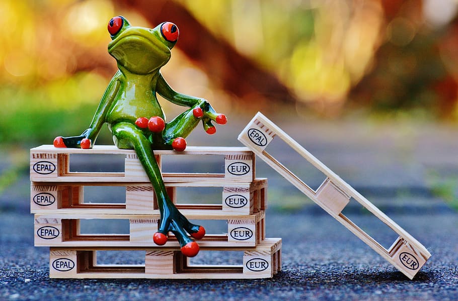 green frog on wooden block photo, euro pallets, sit, funny HD wallpaper