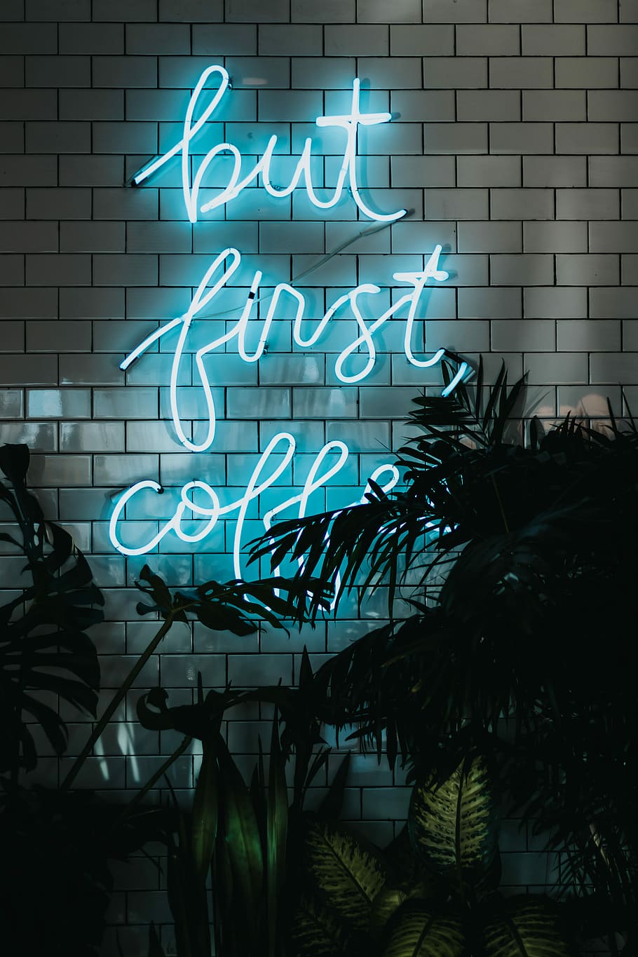 white neon lights near trees, but first coffee led light, neon sign