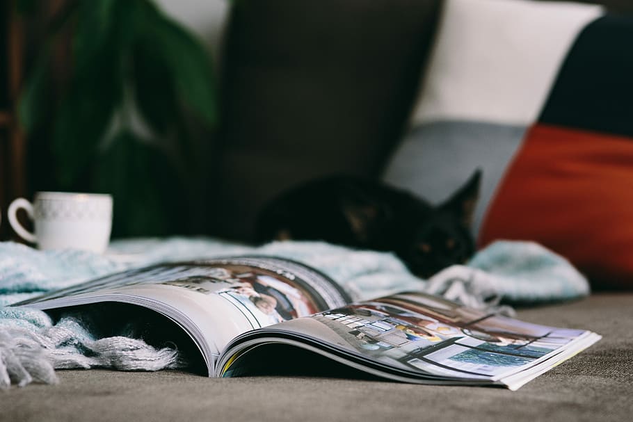 Resting with magazine and cute puppy, interior, relax, dog, pet