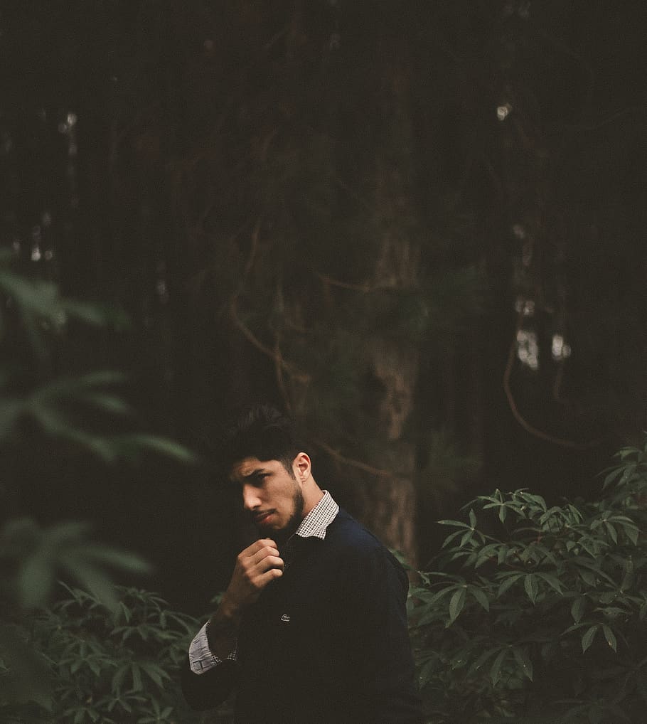 people, man, guy, dark, trees, grass, forest, nature, one person HD wallpaper