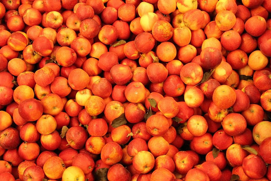 apples, red, red apple, fruit, food, nature, healthy, diet HD wallpaper