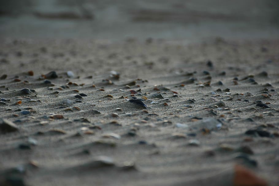 selective focus photography of stones on sand, selective focus photography of soil HD wallpaper