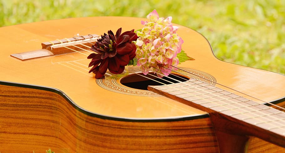 classical music instruments wallpaper hd