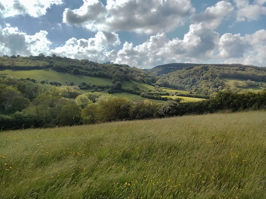 landscape, clouds, sky, summer, sky clouds, summer landscape HD wallpaper