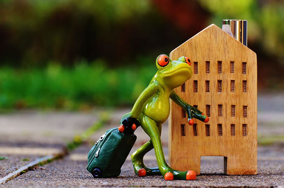 green ceramic frog figurine, Time To Go, Farewell, Travel, luggage
