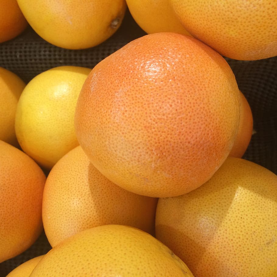 Grapefruit, Import, California, yellow, pink, orange, seiyu ltd HD wallpaper
