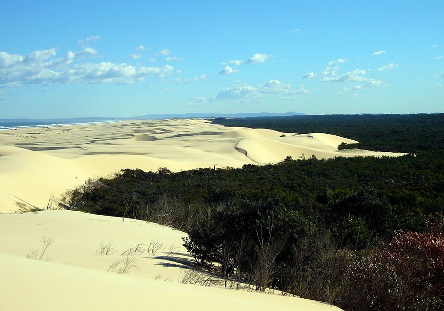 sand, dune, sky, wide, nature, australia, landscape, horizon HD wallpaper