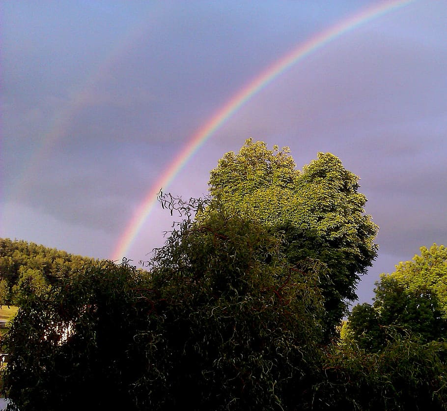 Rainbow, Trees, Heaven, Spring, double rainbow, multi colored HD wallpaper