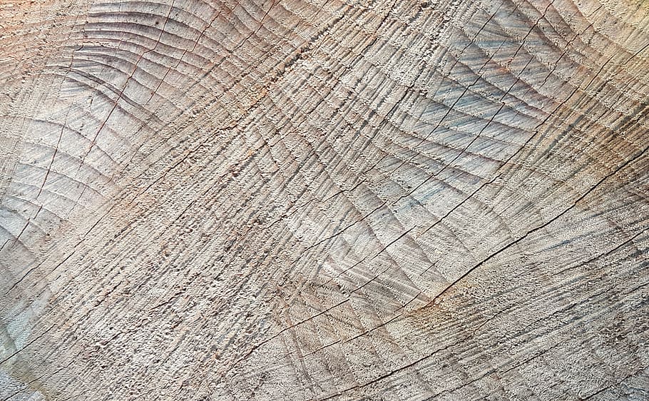 closeup of brown ground, texture, background, wood, wood grain, HD wallpaper