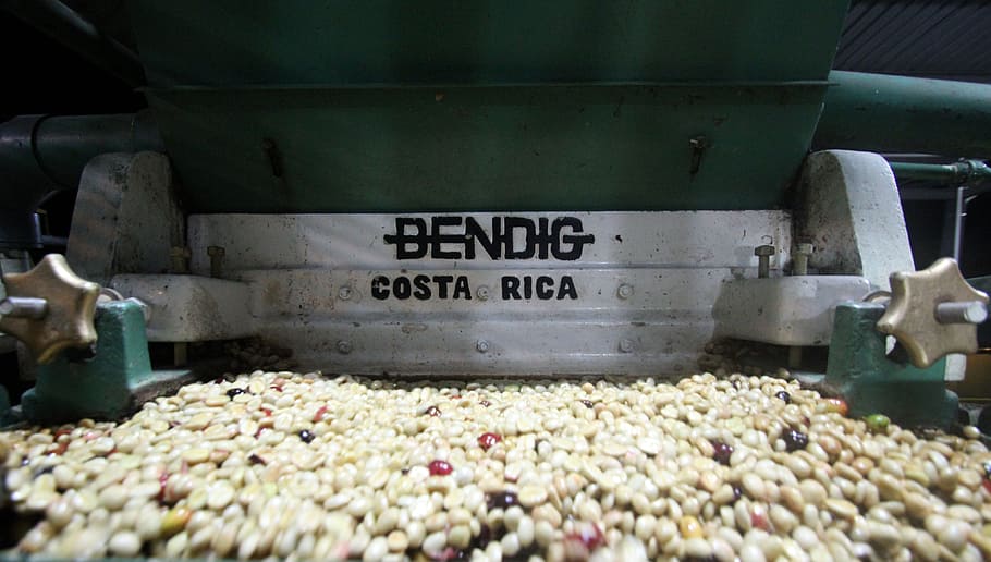 washed coffee, wet processed coffee, industry, food and drink HD wallpaper