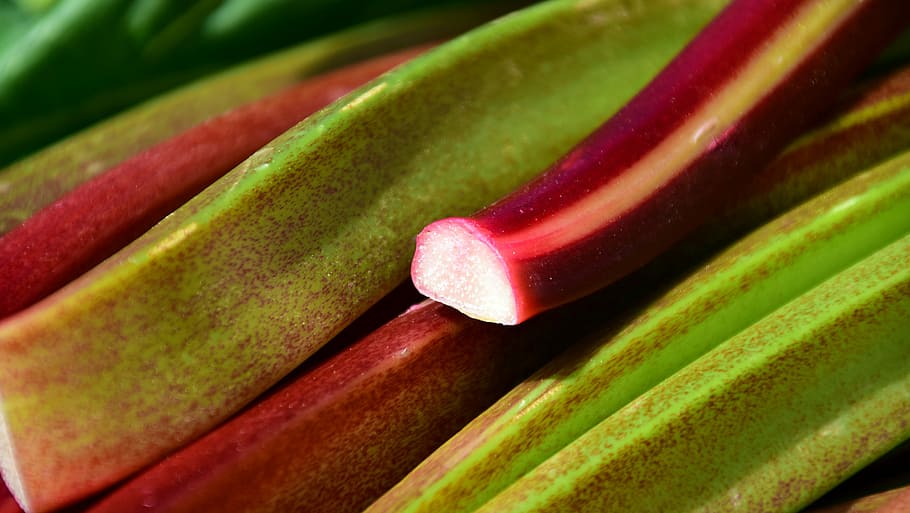 Rhubarb, Green, Garden, vegetables rhabarber, red, crop, polygonaceae, HD wallpaper