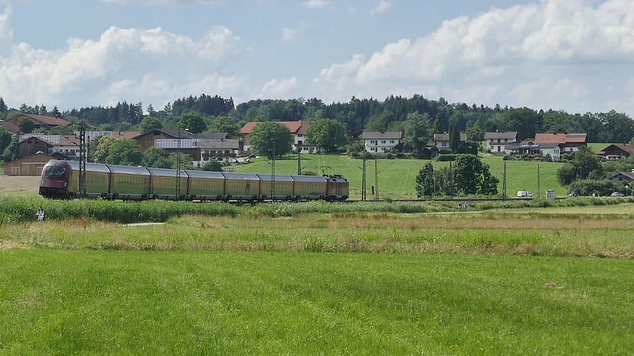 grass, field, nature, tree, panorama, horizontal, railway, train HD wallpaper